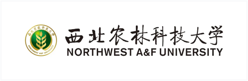 bwin - 专业体育赛事直播与资讯平台