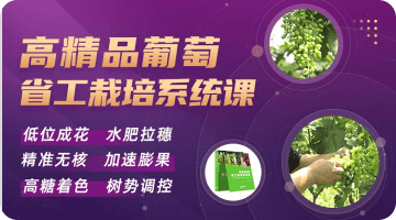 高精品通常 省工栽培系统课）