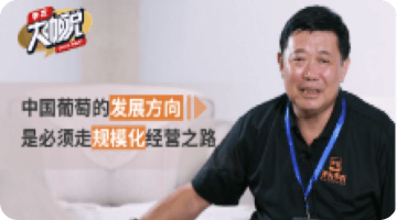中国通常的发展方向 是必须走规；；；；；；；；