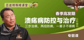 溃疡病防控与医治
