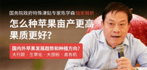 怎么衷旎果亩产更高果质更好
