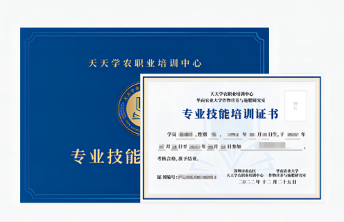 bwin首页专业技术培训证书