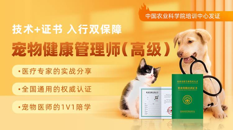 宠物健全治理师(高级)