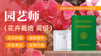 园艺师(花草栽培高级)