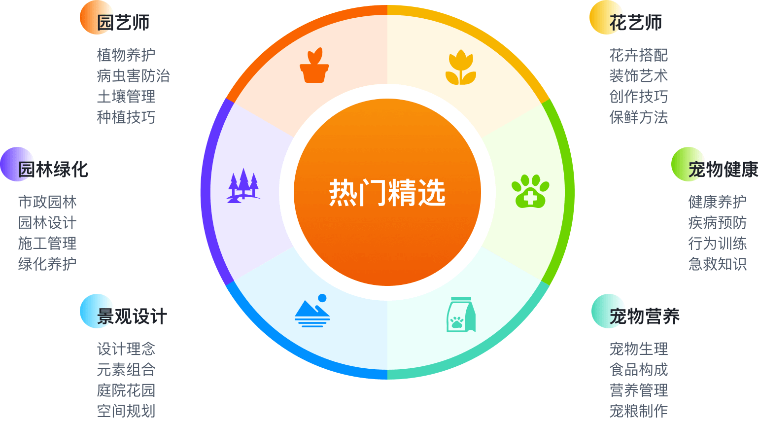 课程内容系统