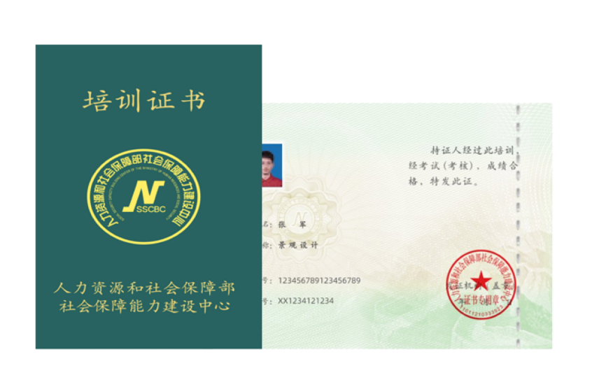 职业技术证书
