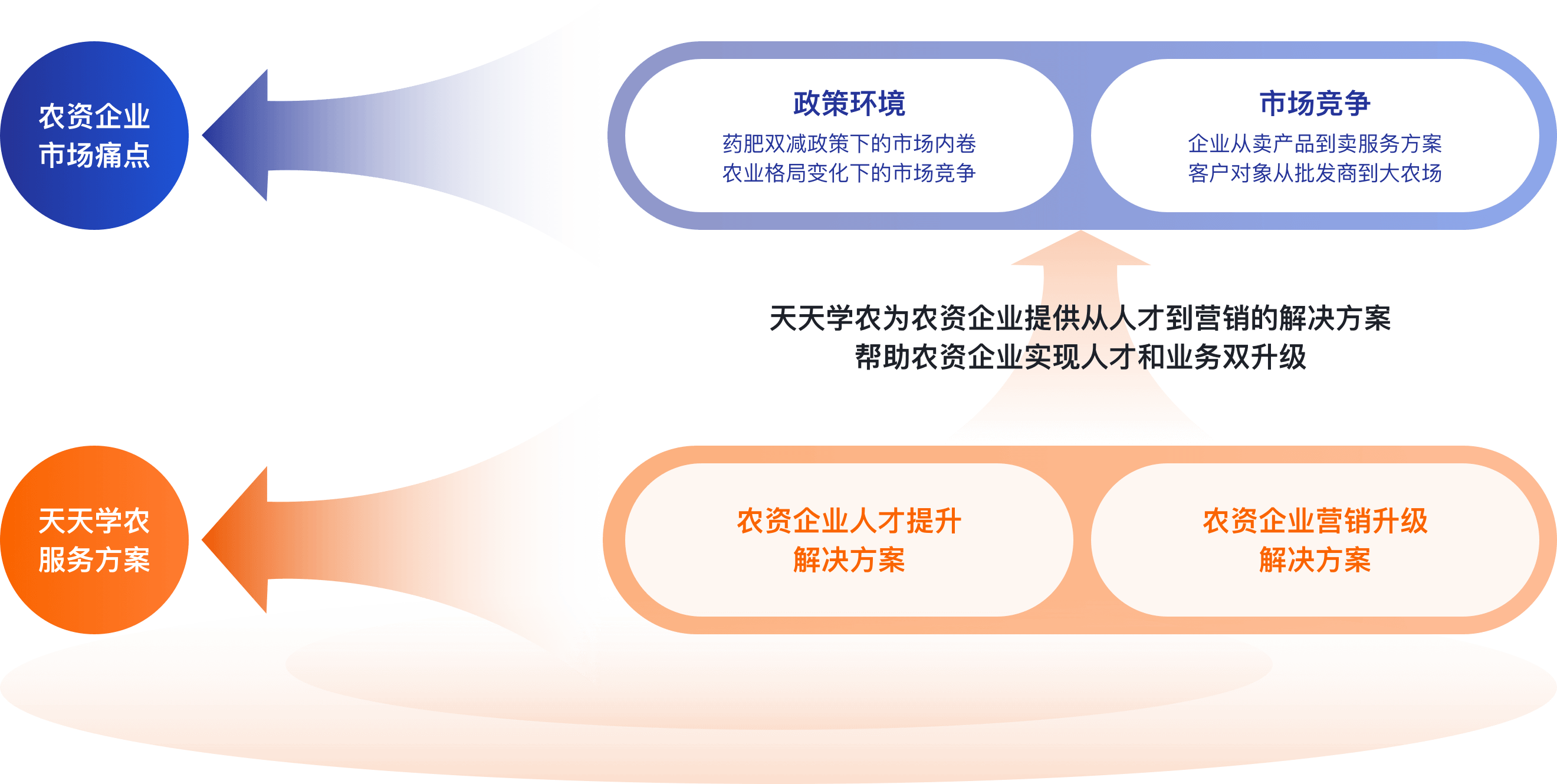 bwin - 专业体育赛事直播与资讯平台