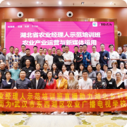 bwin - 专业体育赛事直播与资讯平台