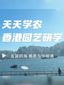 与香港园艺学会结合进行香港园艺研学，，，，，，专业园境师带队解说。。。。。。