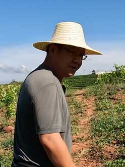 农业人叶涛，，，，，，50多岁通讯人跨界搞农业，，，，，，他要用1000万打造一个梦。。。。。。