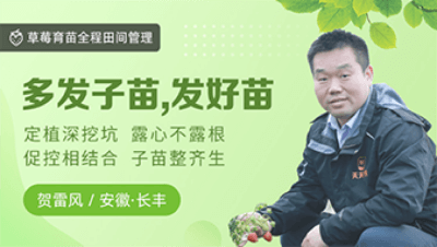多发子苗，，，，，，发好苗