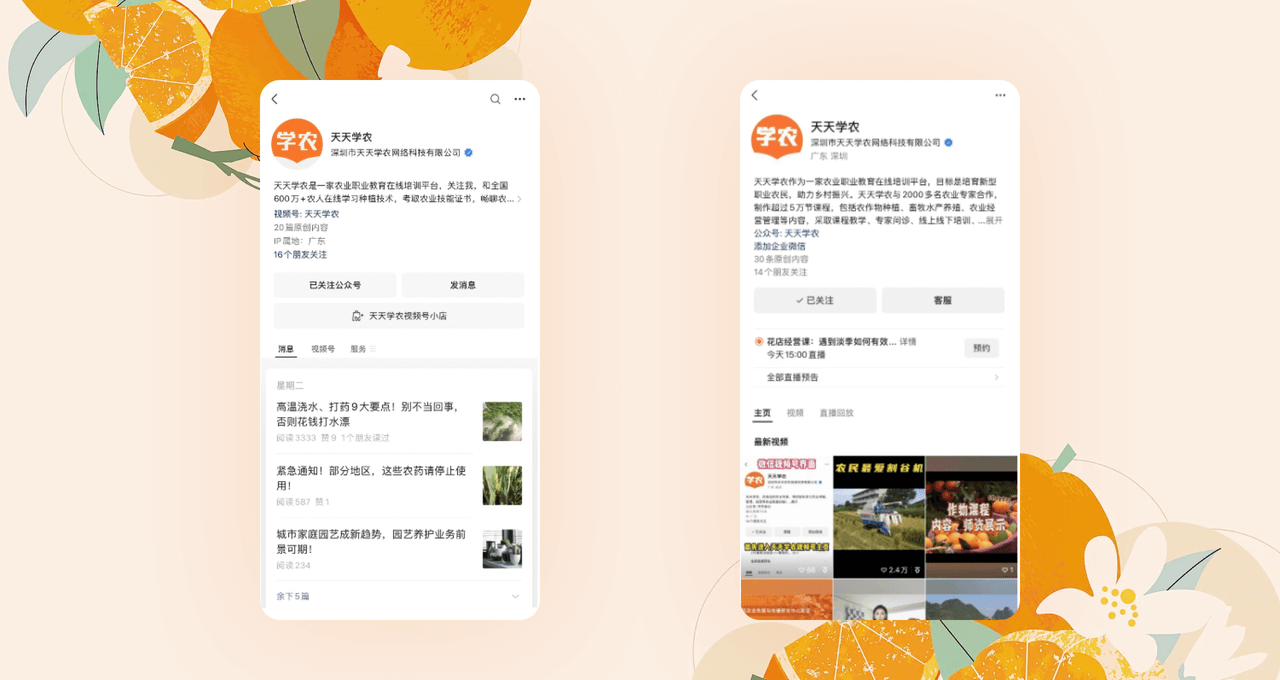 bwin - 专业体育赛事直播与资讯平台