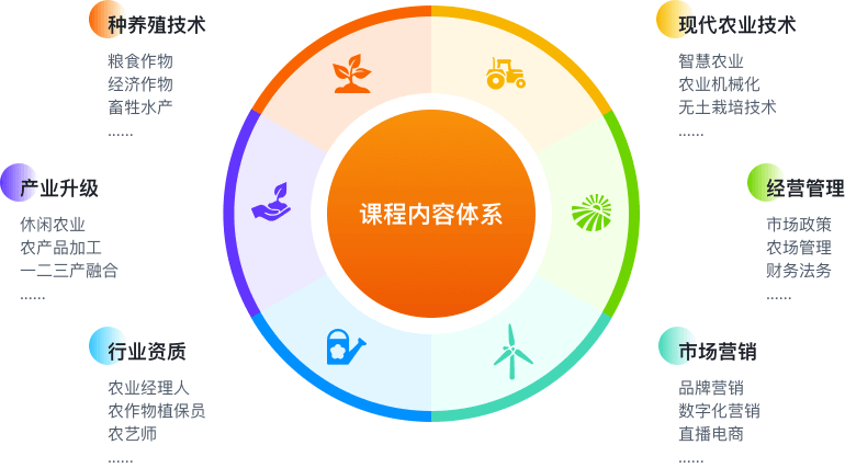 课程内容系统